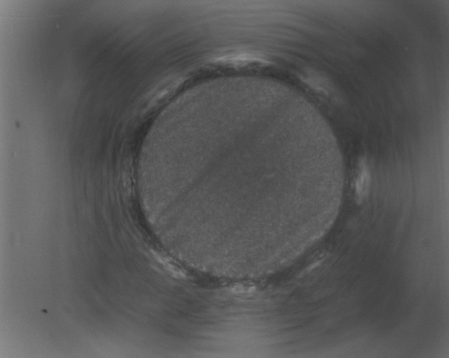 X0000080731014200701121905