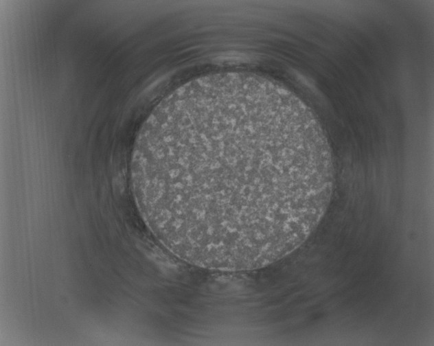 X0000080731015200701121905