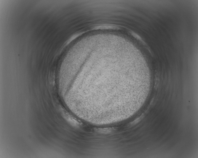 X0000080731017200701121905