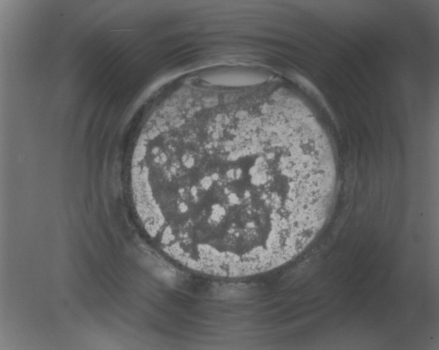 X0000080731019200701121905