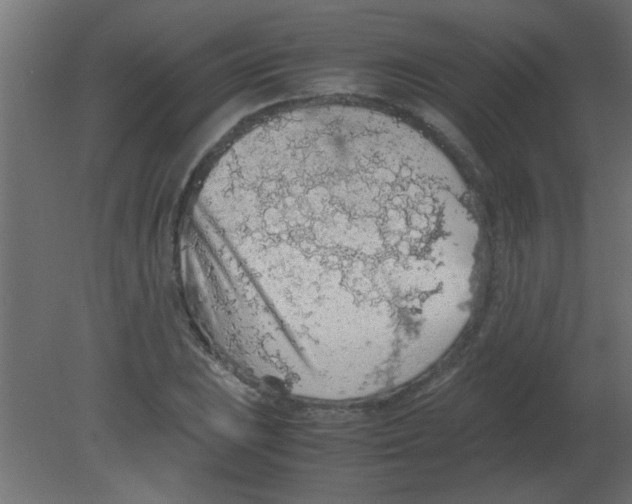 X0000080731023200701121905