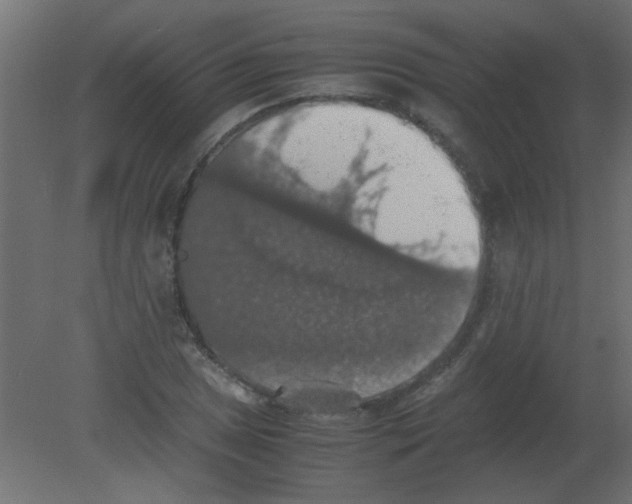 X0000080731025200701121905