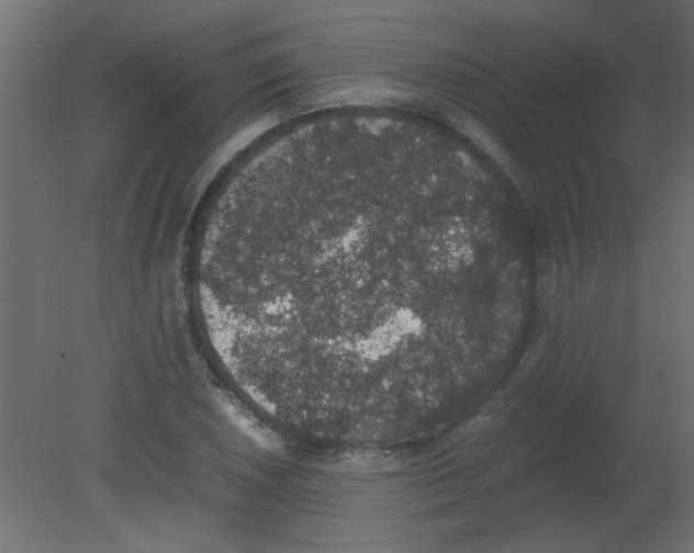 X0000080731026200701121905