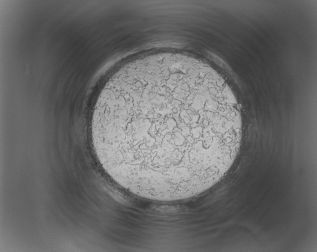 X0000080731027200701121905