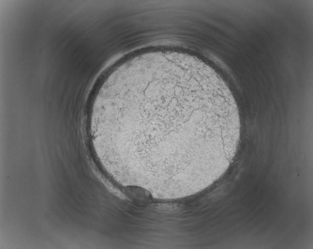 X0000080731029200701121905