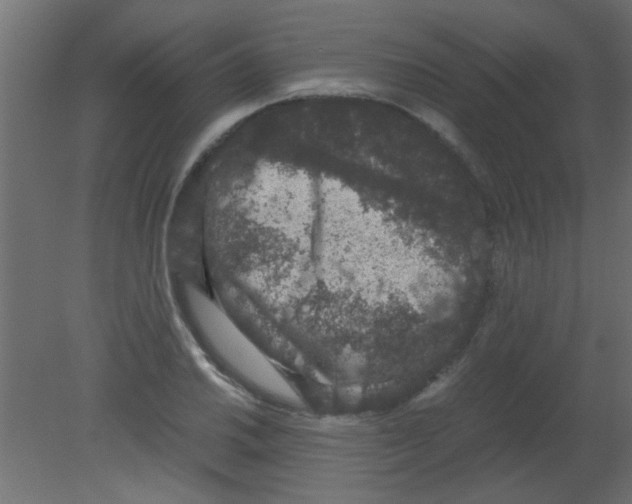 X0000080731030200701121905