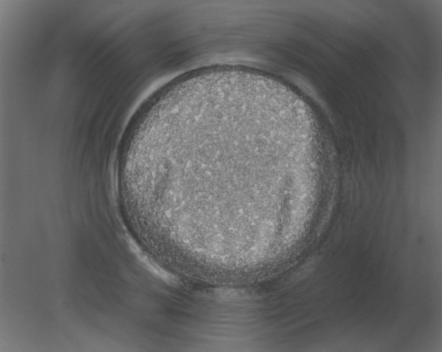 X0000080731032200701121905