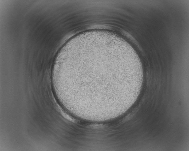 X0000080731033200701121905