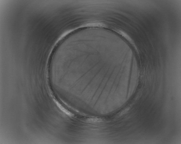 X0000080731037200701121905