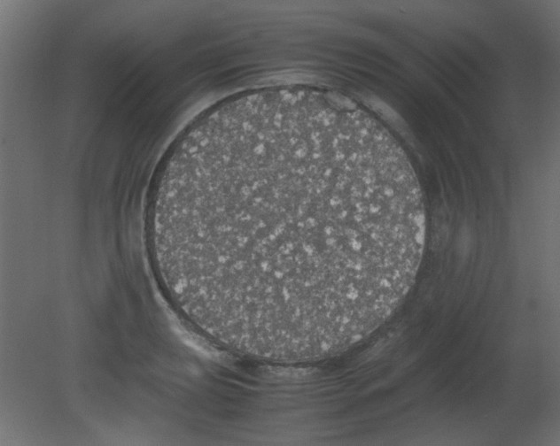 X0000080731039200701121905