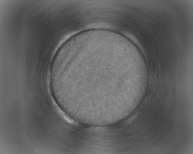 X0000080731040200701121905