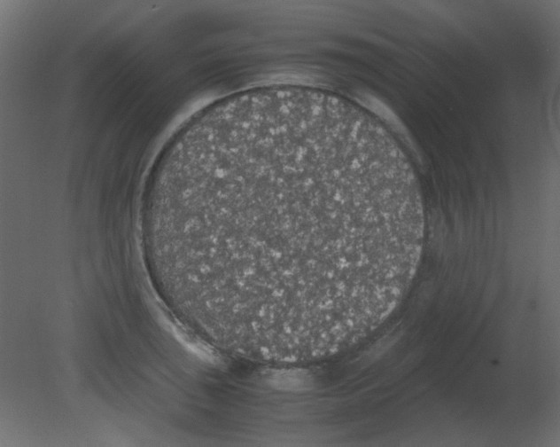 X0000080731043200701121905