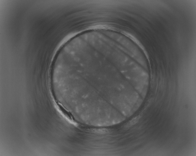 X0000080731045200701121905