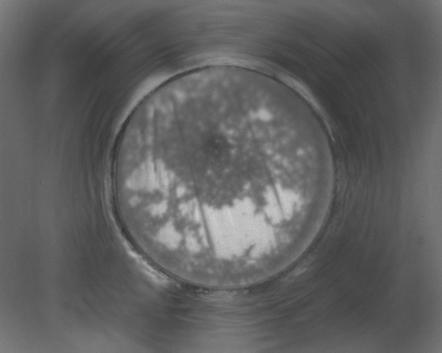 X0000080731048200701121905