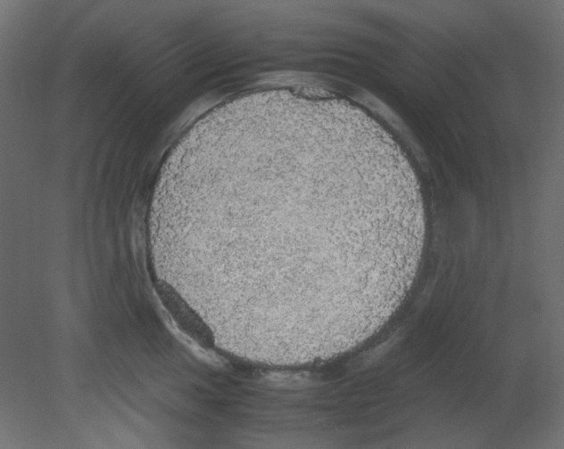 X0000080731049200701121905