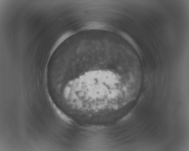 X0000080731050200701121905