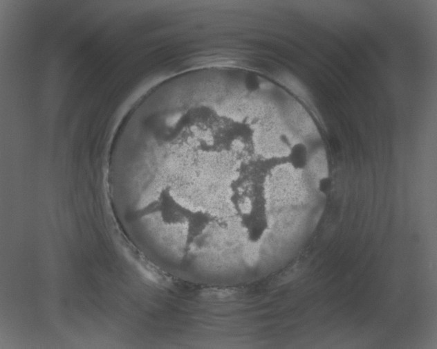 X0000080731051200701121905