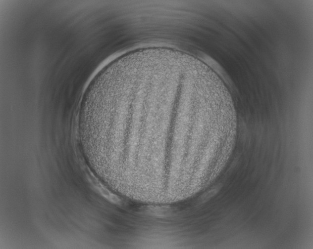 X0000080731052200701121905