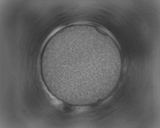 X0000080731053200701121905