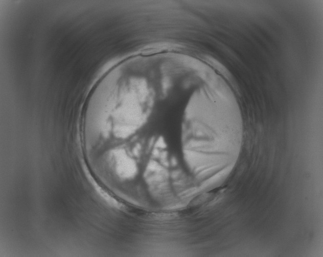 X0000080731055200701121905