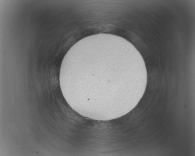 X0000080731058200701121905