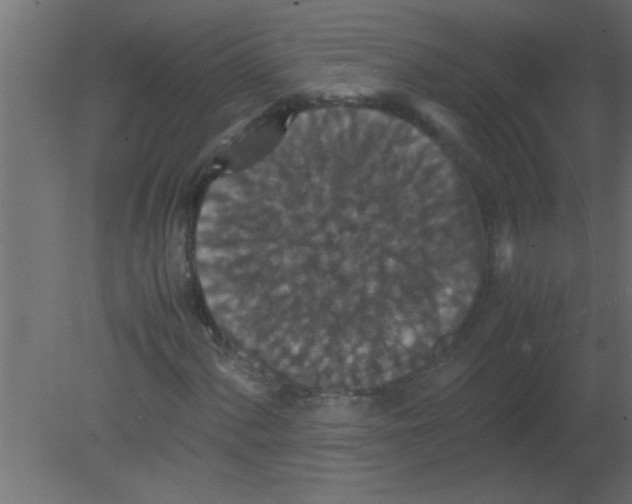 X0000080731060200701121904