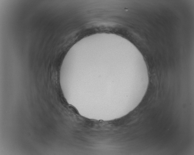 X0000080731061200701121904