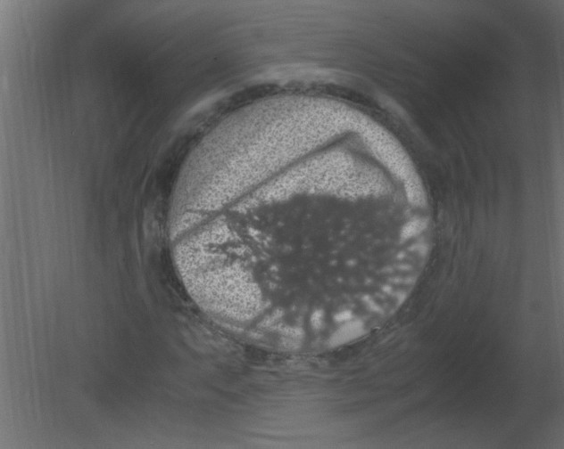 X0000080731063200701121904