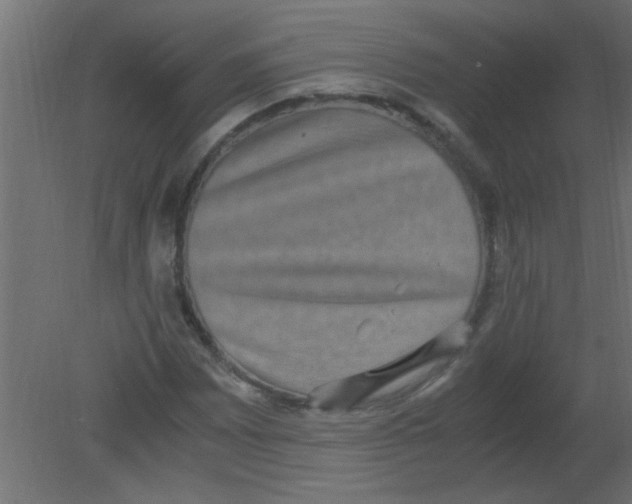 X0000080731065200701121904