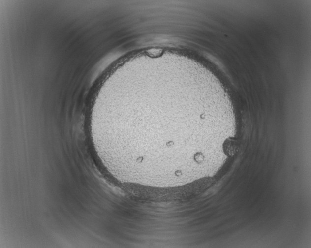 X0000080731066200701121904