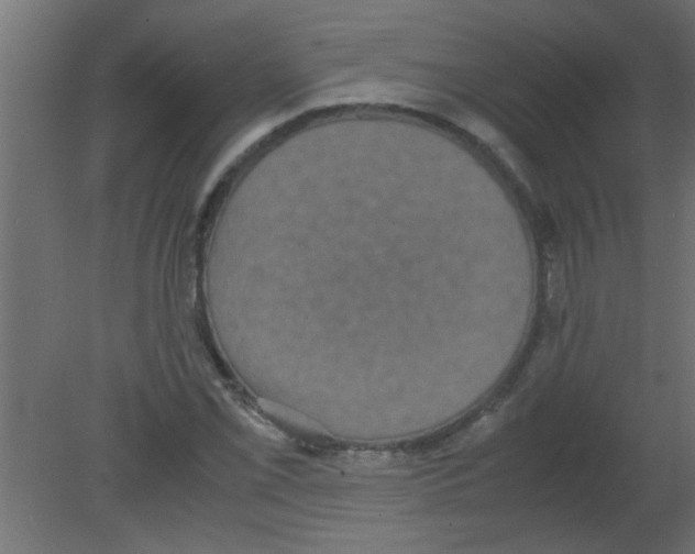 X0000080731069200701121904