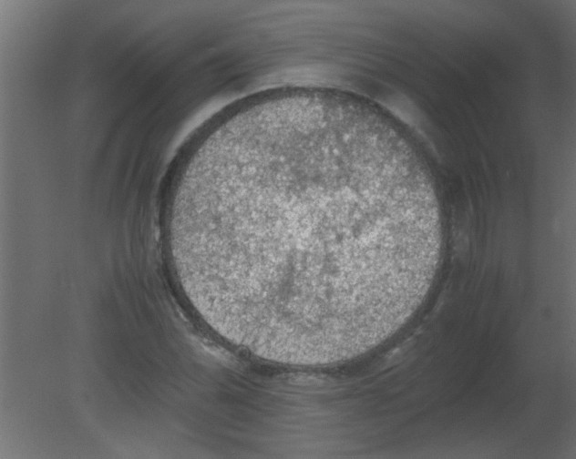 X0000080731070200701121904