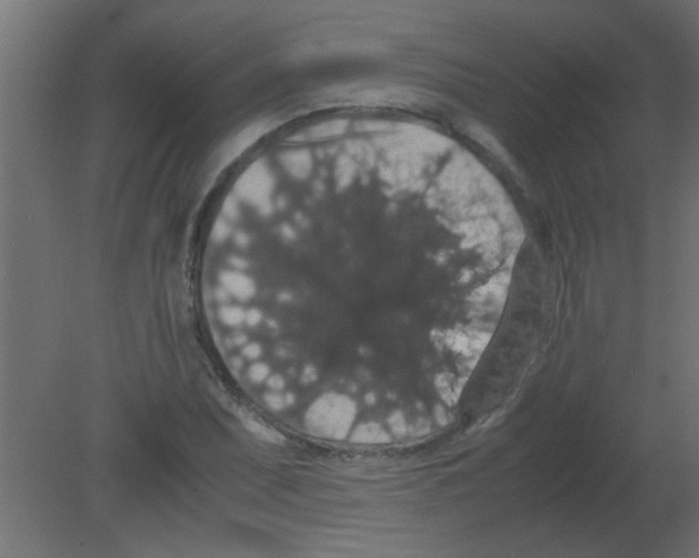 X0000080731071200701121904