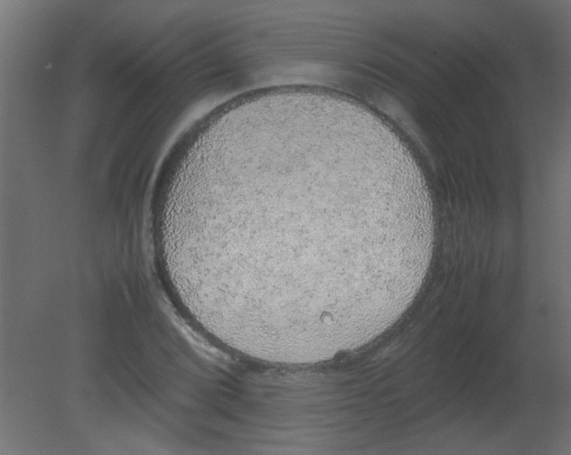 X0000080731072200701121904