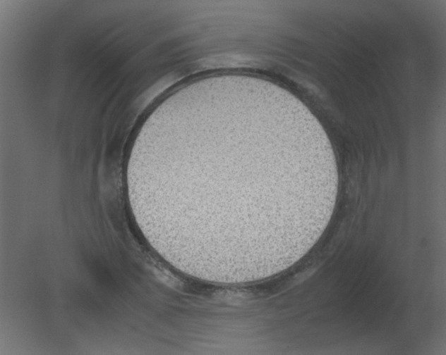 X0000080731073200701121904