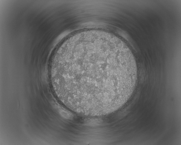 X0000080731074200701121904