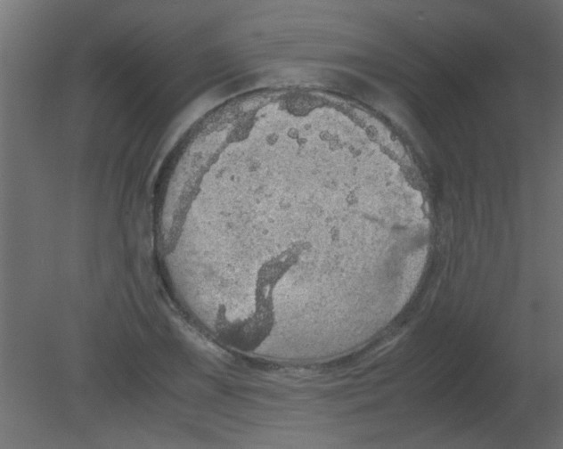 X0000080731075200701121904