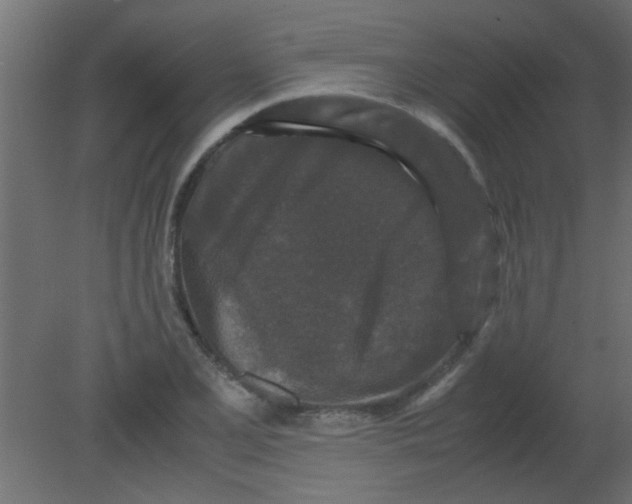 X0000080731077200701121904