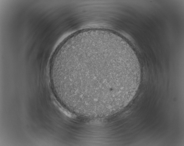 X0000080731078200701121904