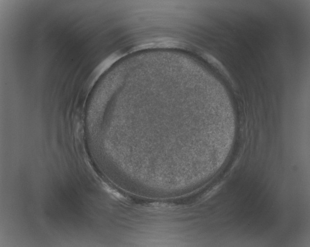 X0000080731081200701121904