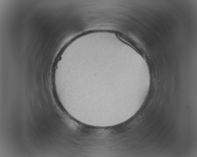 X0000080731085200701121904