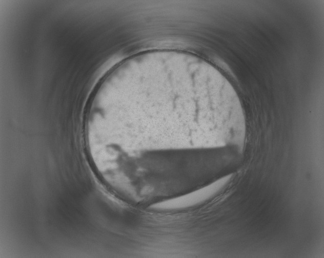 X0000080731087200701121904