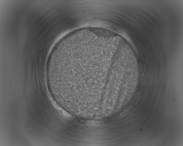 X0000080731088200701121904