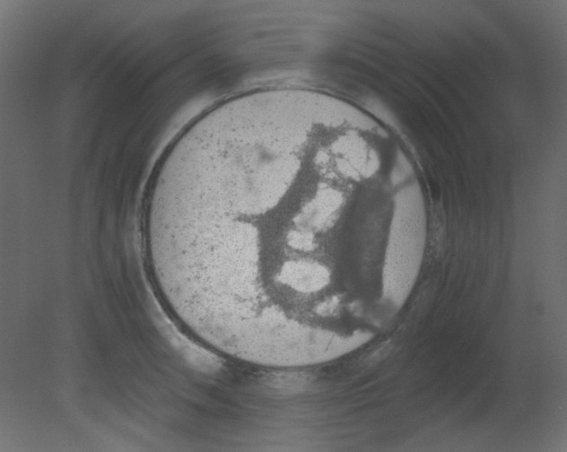 X0000080731090200701121904