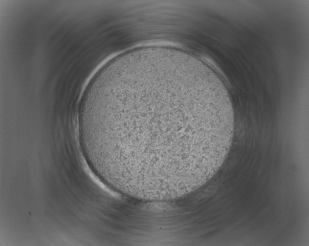 X0000080731092200701121904