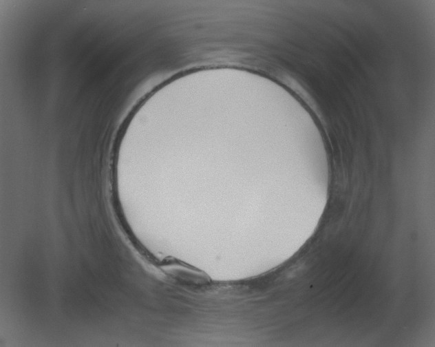 X0000080731093200701121904