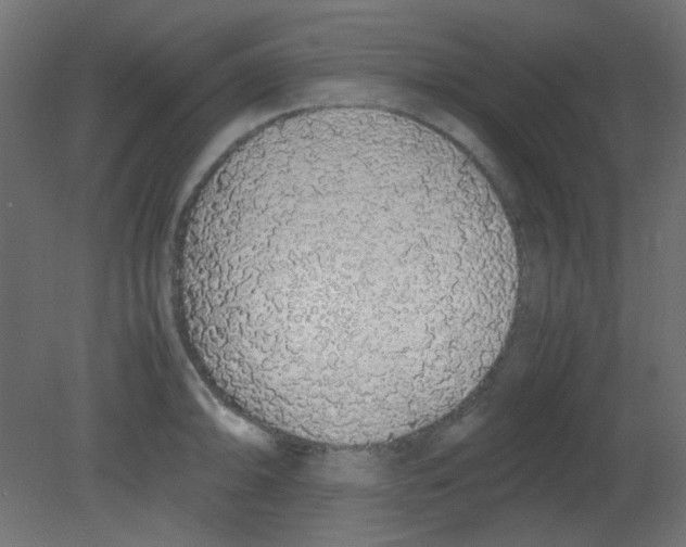 X0000080731094200701121904