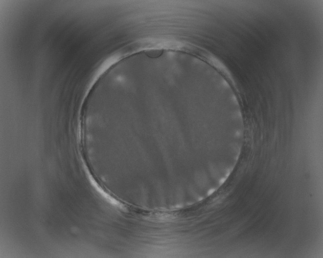 X0000080731095200701121904