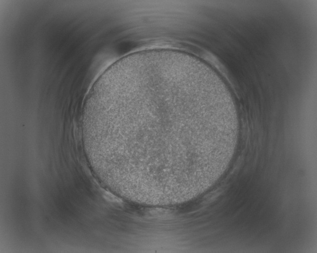 X0000080731097200701121904