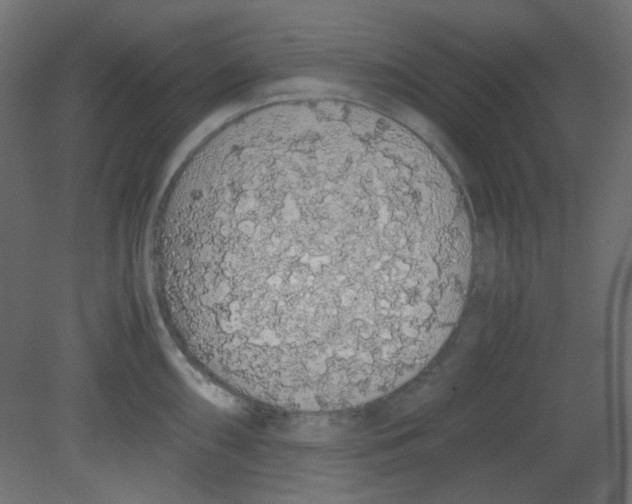 X0000080731098200701121904